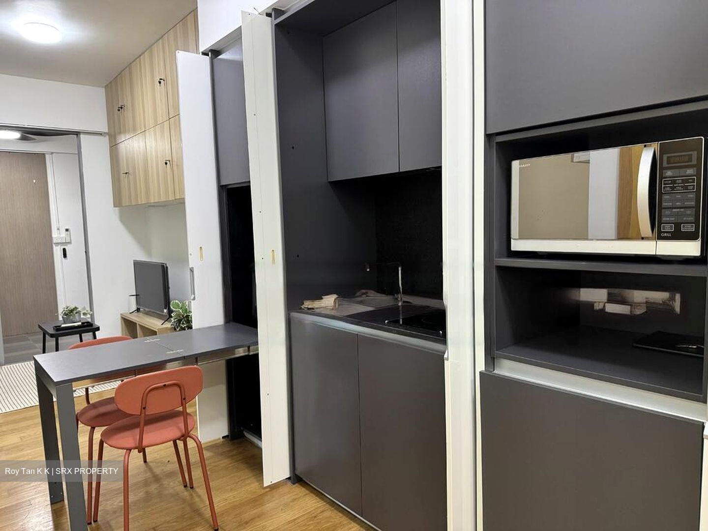 26 Newton (D11), Apartment #459403211